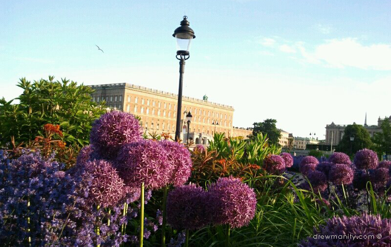 drewmanity-stockholm-sweden-capital-flowers