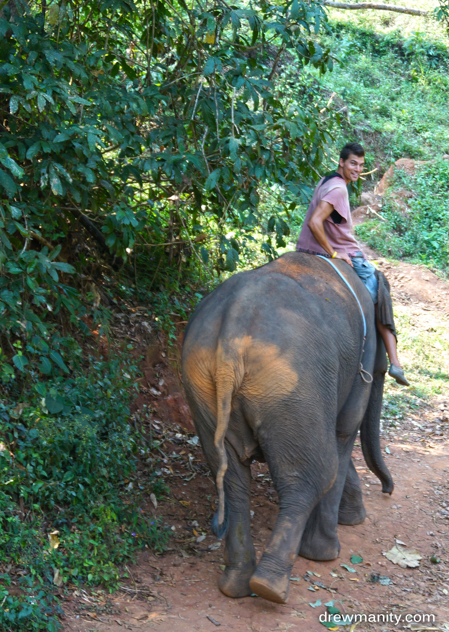 riding the elephant down hill