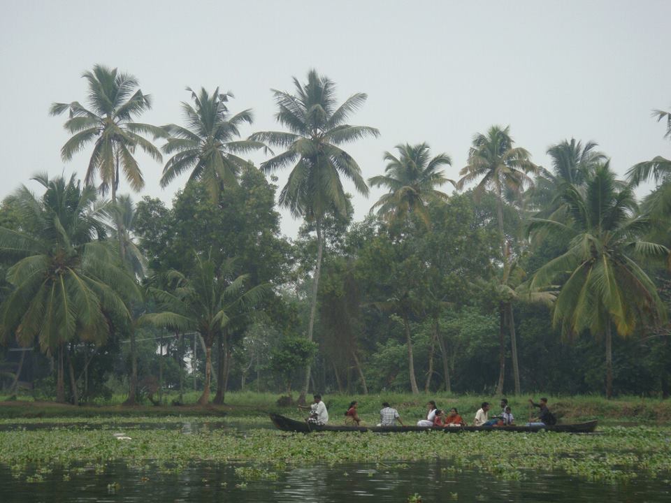 drewmanity.com-india-kerala-backwaters-swamps-and-rice-fields