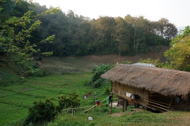 Simple living Bamboo huts
