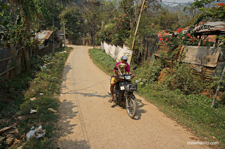 Happy Myanmar village man on bike with dog driving.