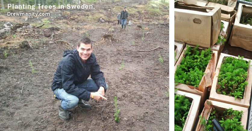planting-trees-in-sweden-drewmanity.com save the world 